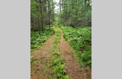 Southwoods Mountain Estate -private mansion, pool, hottub+ 15 acres - Foto 17