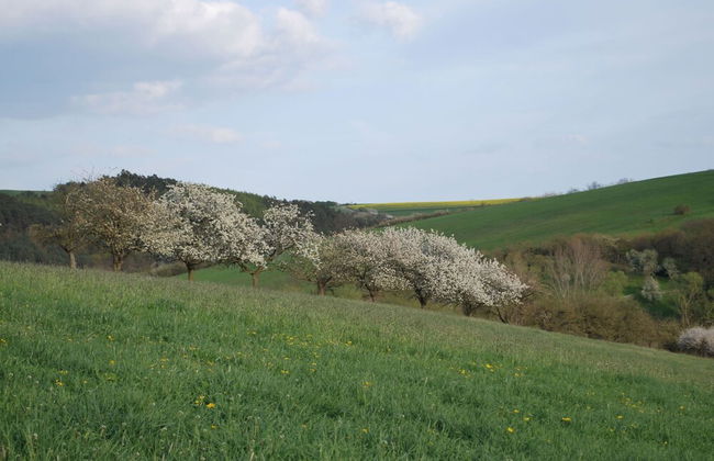 Watermill Stay With Garden - Foto 30