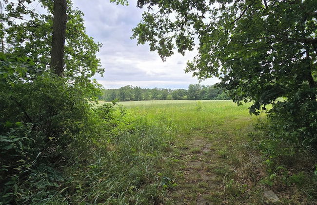 Agroletnica Country house - Foto 65