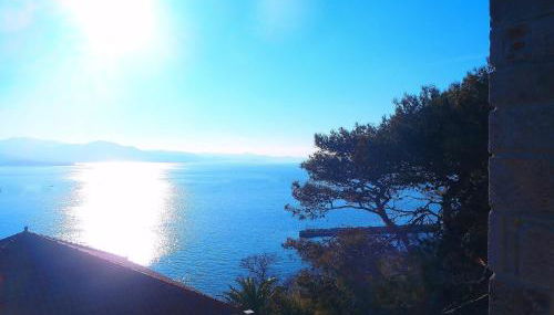 Grand View Rhea - Photo 4