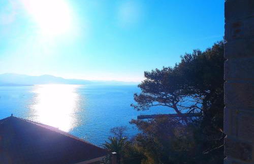 Grand View Rhea - Photo 4