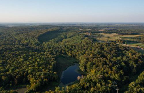 Luxury apartments Villa Wood NEW - Foto 60