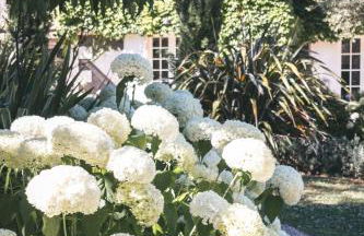 Villa N1 Saint-Emilion - Foto 50