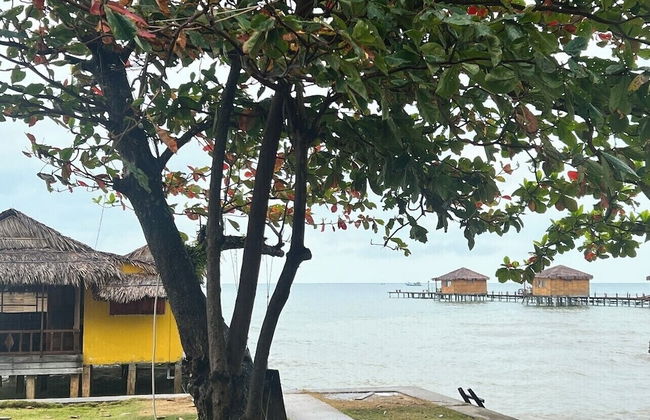 Freedom Beach Resort - Photo 9