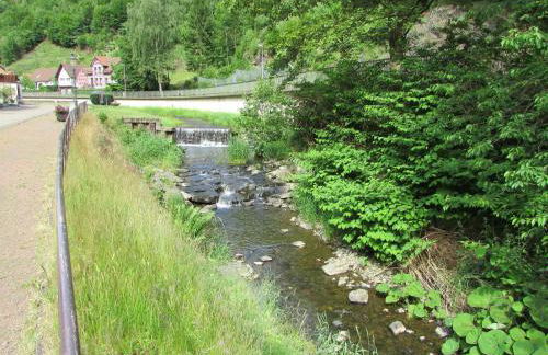 FeWo Harz Haennig 2 - Foto 43