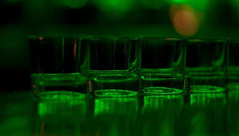 Gdansk Vodka Tasting - Photo 2, Discovering the flavours of Poland's national drink