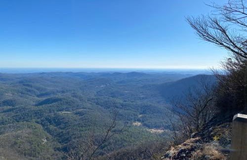 Red Top Tree House - Foto 32