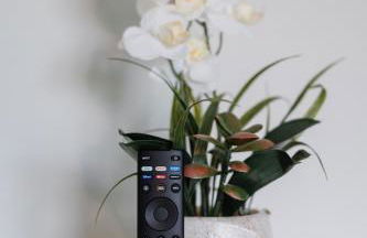 Perfect spot for Savannah vacation! - Foto 9