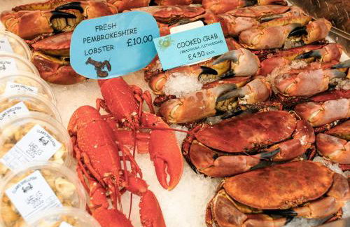 Woodpecker-Qc1186 - Foto 18