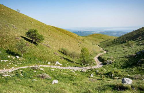 Cozy Home with Private Garden - Happy Rentals - Foto 58