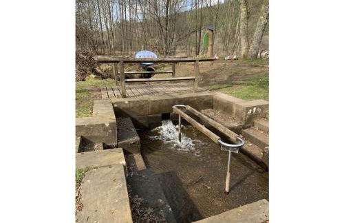 Haus am Kirchberg in Vita Garden - Foto 26