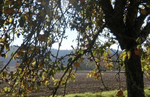 Castle Apartment "Cook" - Photo 19