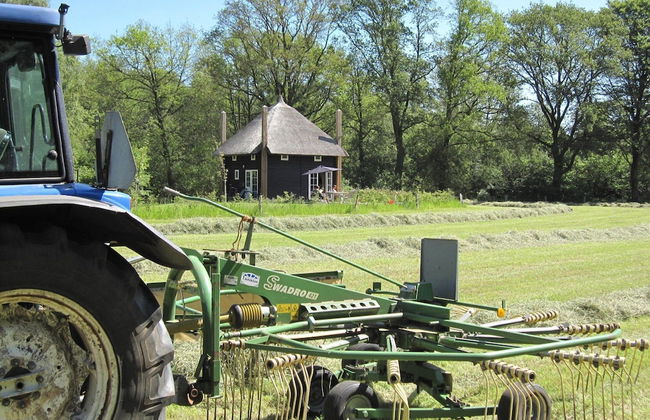 Nice House near River - Photo 11