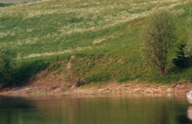 Casa Migiur - Foto 6