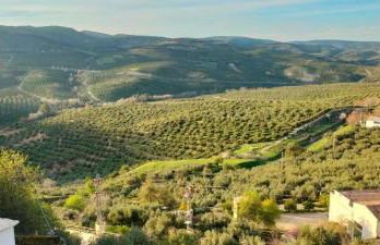 Casa Rural Emma - Foto 29