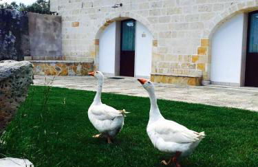 Masseria Pappo - Foto 37