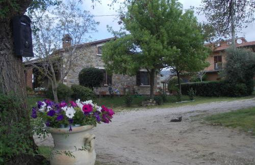 Agriturismo La Valle degli Ulivi - Foto 32