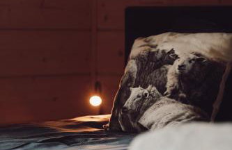 Houten Villa "ReisnaarPolen" Royaal ontbijt tevens Gluten Lactose vrij, Vega en diner mogelijk, sauna en Hottub - Foto 63