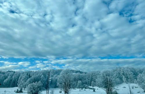 Green House kuća s 4 spavaće sobe - Foto 30