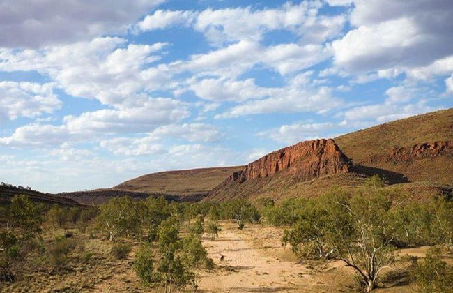 Palm Valley et Promenade en 4x4 - Excursion d'une Journée - Photo 9