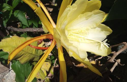 George and Helen's Studio - Foto 11