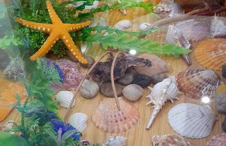 Piso familiar con amplia terraza 300m de la playa - Foto 24