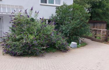 Schöne Wohnung direkt am Bach - Foto 24