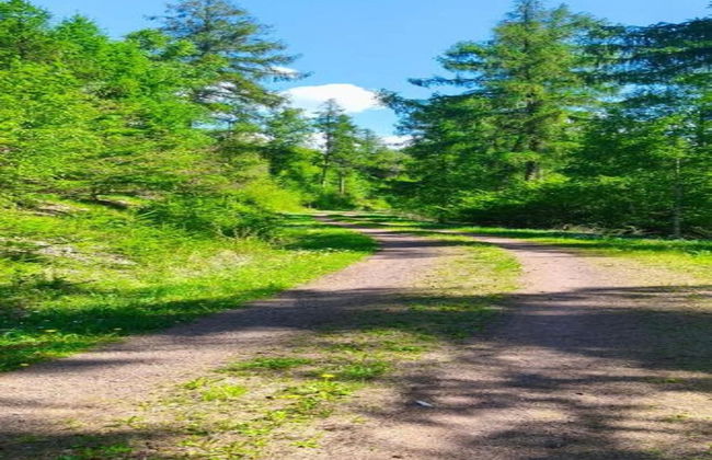 Hill-view Holiday Home in Dankerode Near Lake and Hiking - Foto 41