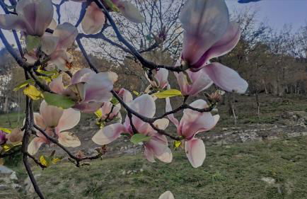 O Aconchego das Raízes - Foto 30