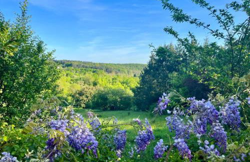 Domaine de la Chambaudière - Foto 28