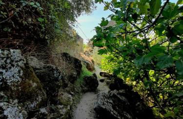 Casa Vinte & Cinco - Alojamento Local - Foto 98