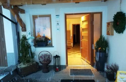 Ciasa Wallis - Foto 63