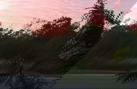 Palm Lakeside - Bowen, Whitsundays Wifi Netflix Private Cool Luxury - Foto 8