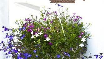 Rigoletto Cilento with private garden and pool - Foto 3