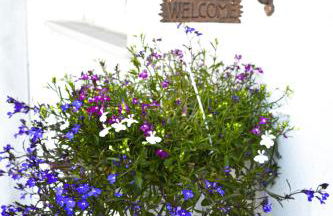 Rigoletto Cilento with private garden and pool - Foto 3