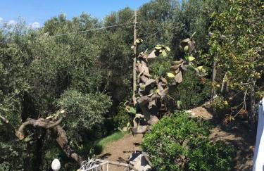 Villa Manu - Foto 20