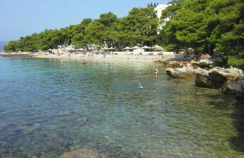 Sanja M 1 - Photo 22