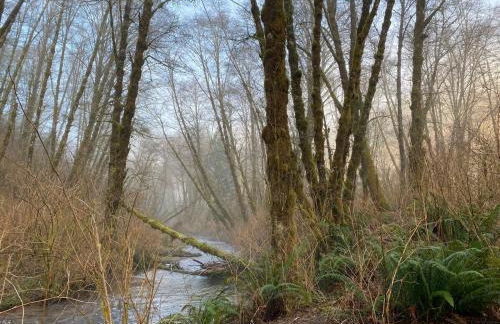 Sweet Root Hollow - Foto 24