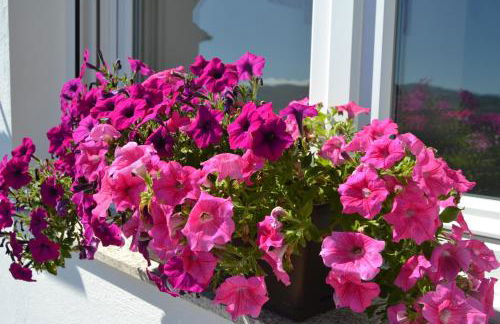 PortoHouse - Foto 54