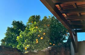 La Casita Nazaré - private pool - Foto 36