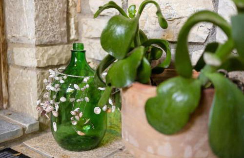 Petalidi Stone House with garden near the beach - Foto 16