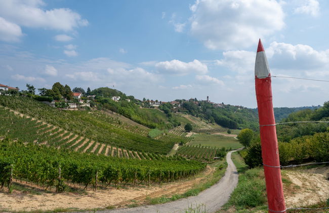 Agriturismo Colle di San Michele - Foto 38