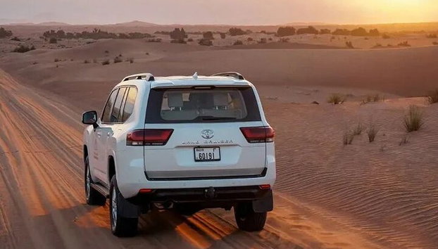 Private Morning Desert Safari with Camel Riding in Dubai - Photo 3