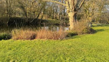 Waters edge - Photo 3