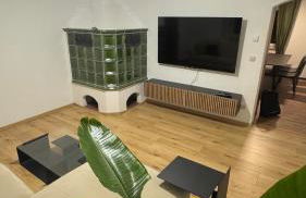 Moderne große Wohnung mit Garten - Foto 13