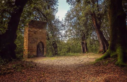 Platea Cavour - Foto 39