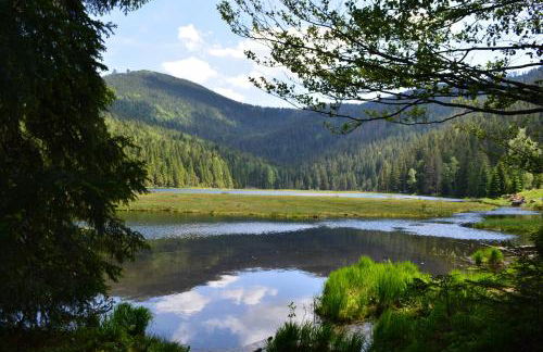 Haus Marie - Foto 30