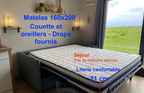 Brise de mer sur la naturelle, Studio à Wimereux , parking - Foto 26