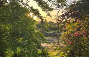 Kipos Mon Repos - Foto 43