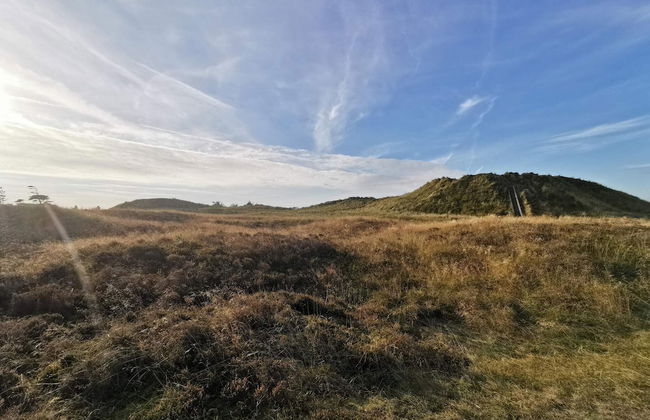 6 Person Holiday Home in Thyholm-by Traum - Photo 9